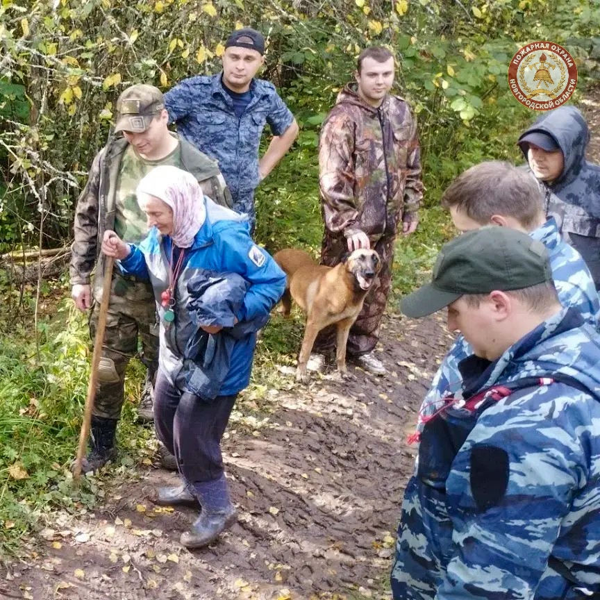 Из любытинского леса спасатели вывели старушку, которая провела там всю ночь