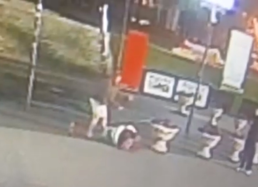 Кадр видео